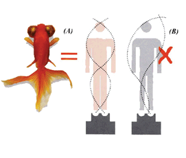Goldfish movement of Chimachine